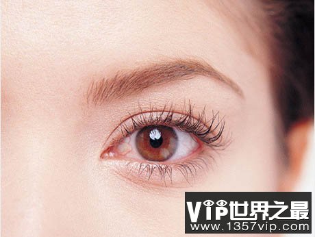 人的眼睛为什么不怕冷？眼睛不能感觉到温度的变化
