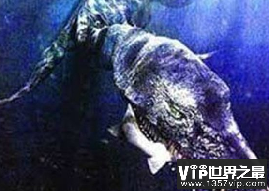 微信截图_20200106102307.png