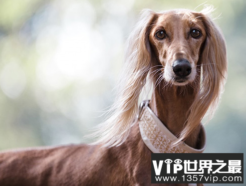 微信截图_20200401111937.png