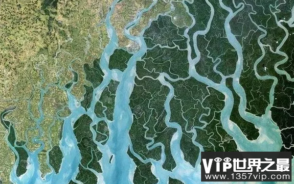 世界上河流最稠密的国家