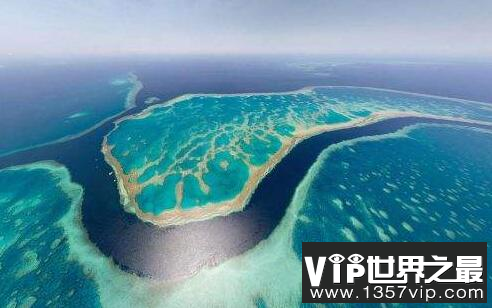 世界上最大的珊瑚礁群