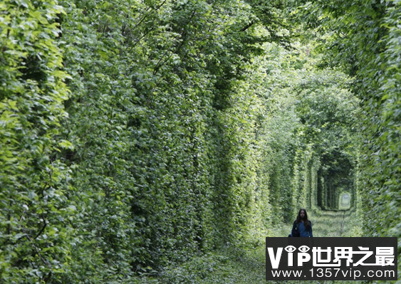 世界上十大最令人惊叹的景观-乌尤尼盐沼-是情人约会的圣地