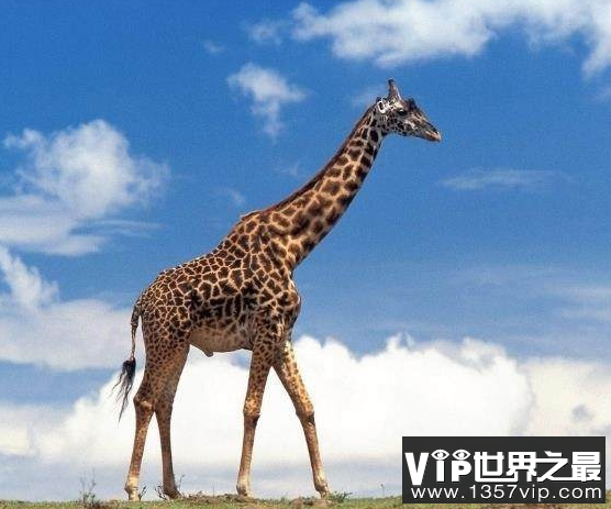 微信截图_20200106102307.png
