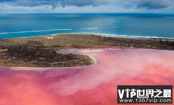 世界上最美丽的八个湖泊,澳大利亚粉红色的湖泊,对你的眼睛是盲目的