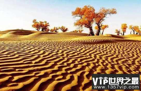 中国最大的沙漠塔克拉玛干沙漠面积33万平方公里