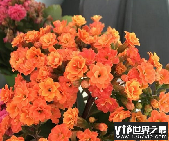 微信截图_20200106102307.png