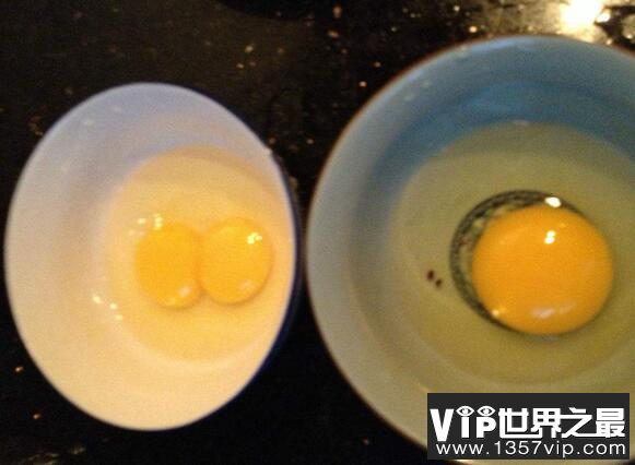 人造假鸡蛋真的存在吗?有人真的会制作假鸡蛋卖钱吗
