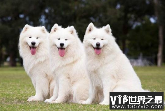 微信截图_20200401175955.png