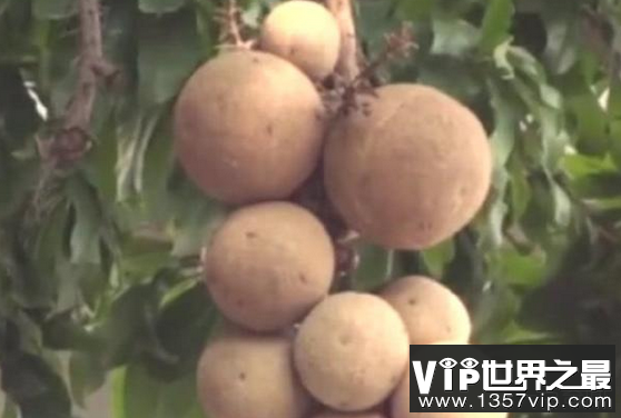 微信截图_20200205094912.png