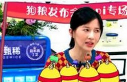 papi酱婚恋观 过年跟丈夫各回各家各找各妈