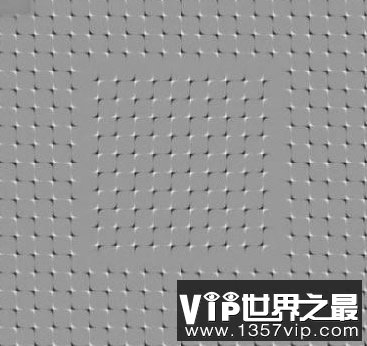 如果你看到这张图片在动 那么你压力太大了