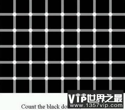 能看到黑白色闪动的小点点吗