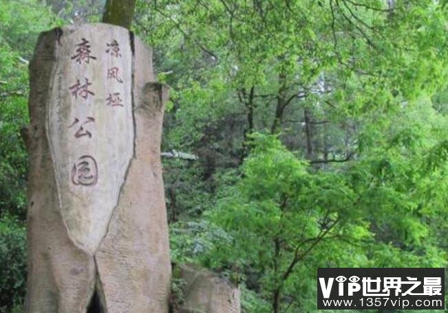 南山风景区