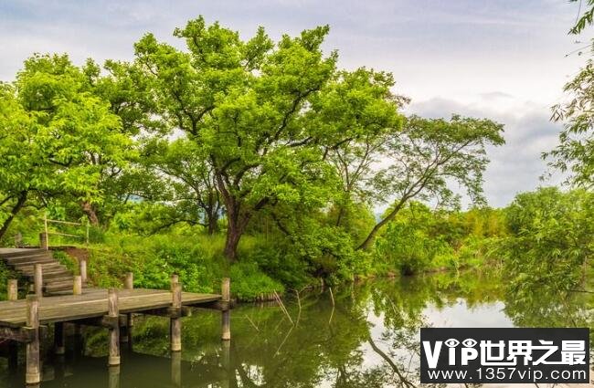 西溪湿地