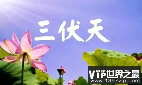为什么“冷在三九”、“热在三伏”