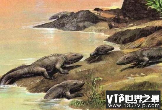地球上最早的两栖类动物是什么，鱼石螈？