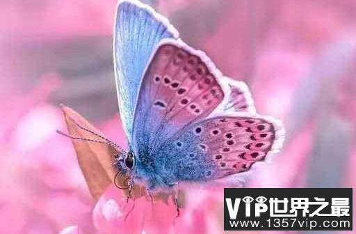 微信截图_20200106102307.png