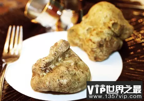 世界上最昂贵的食材 世界十大最昂贵食材