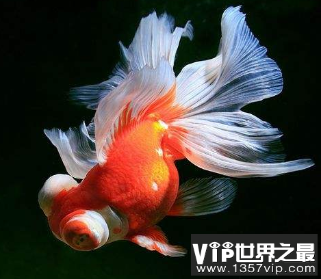 微信截图_20200106102307.png
