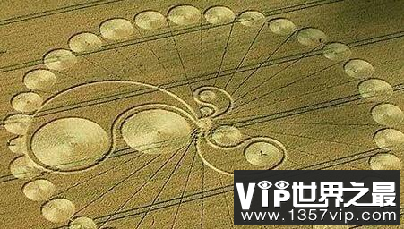 神秘麦田怪圈的始作俑者是谁，真的是外星人吗？