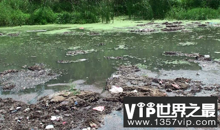 世界上最严重的河流污染是泡沫