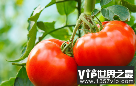 微信截图_20200123154756.png