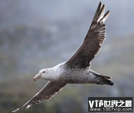 微信截图_20200106102307.png