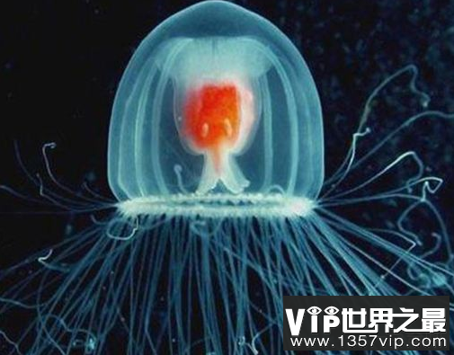 微信截图_20200106102307.png