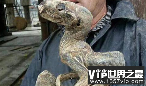 微信截图_20200106102307.png
