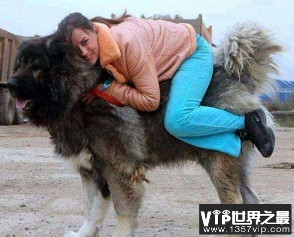 微信截图_20200106102307.png