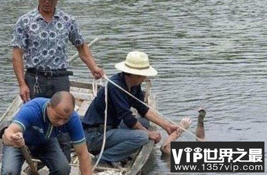 微信截图_20200106102307.png