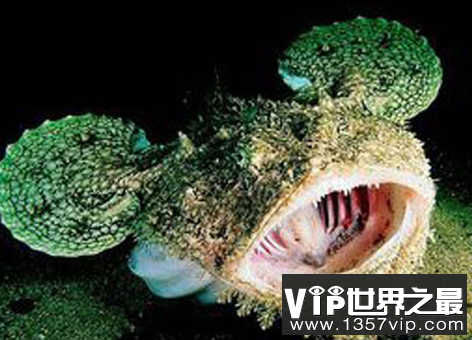 微信截图_20200401111937.png