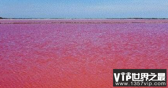 伊拉克血湖是真的吗?湖水为什么是红色的
