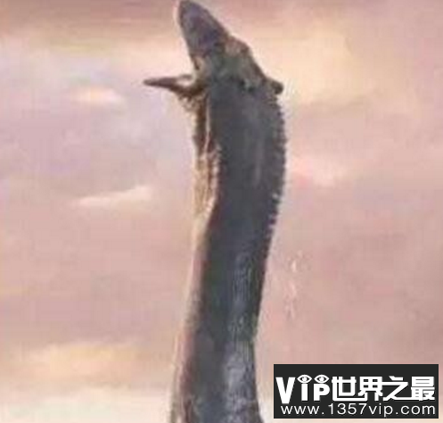 贵州六盘水水怪，长八米的巨型怪物掀翻运煤船
