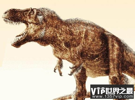 中国最大食肉恐龙 中国最强大的食肉恐龙
