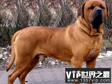 微信截图_20200106102307.png