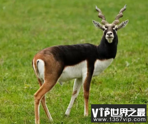 微信截图_20200106102307.png