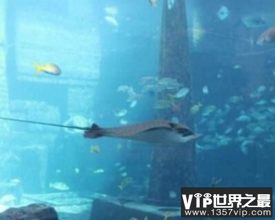 i亚特兰帝斯古国神秘消失之谜
