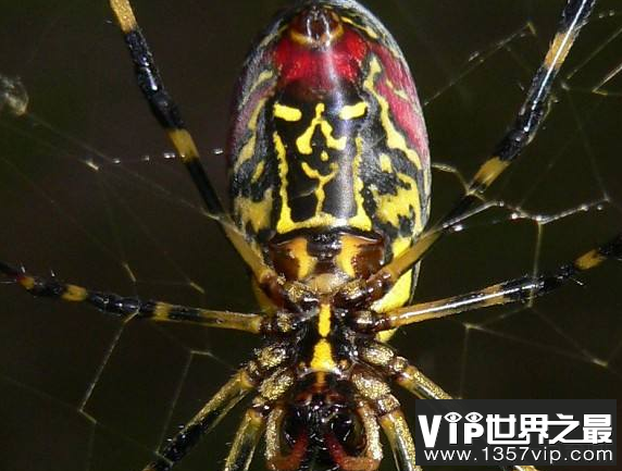 微信截图_20200106102307.png