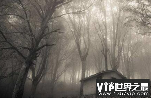 济南张庄学校灵异事件，小树林雨夜惊现女鬼真吓人