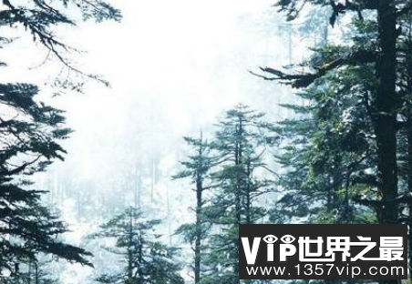 微信截图_20200609143126.png