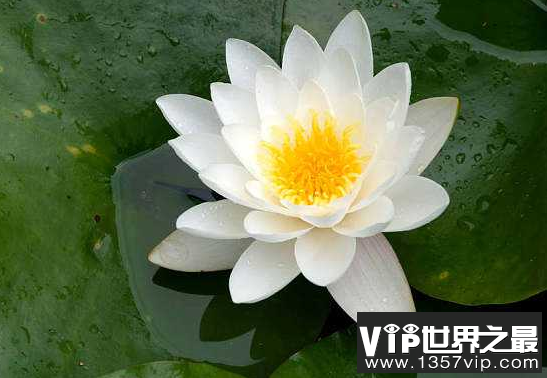 微信截图_20200106102307.png