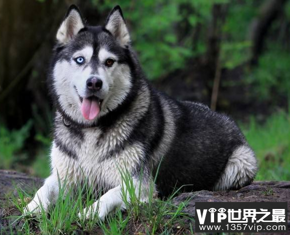 微信截图_20200609143147.png
