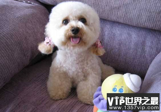 微信截图_20200609143154.png
