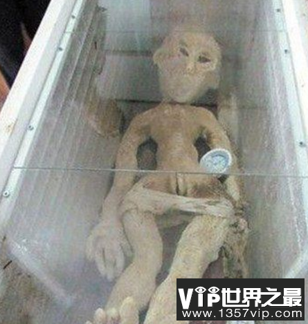 山东电死外星人事件的真相！