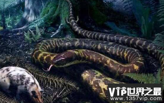 远古最可怕的三大巨蛇，在恐龙时代横行无阻
