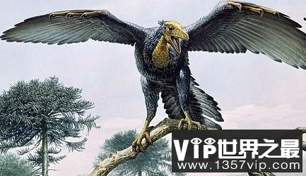 微信截图_20200609143126.png