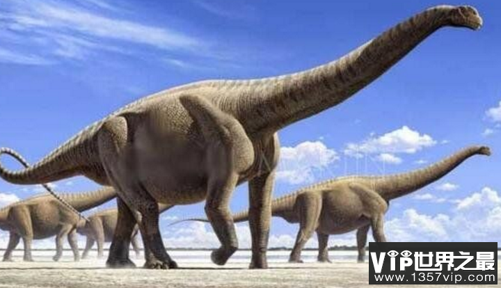 比航母还大的史前巨兽不存在，长300米的巨兽