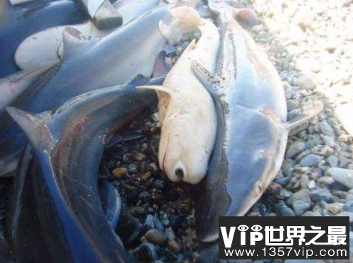 微信截图_20200609143126.png