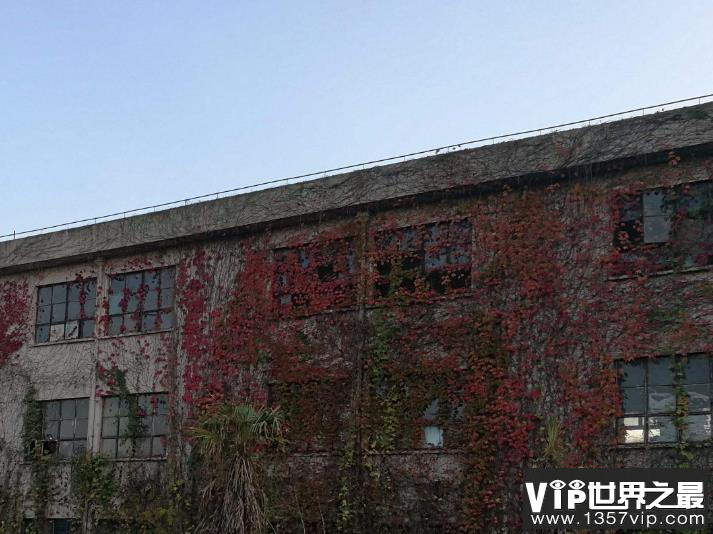 沈阳铁西鬼楼的传说，从地下挖出一具女尸